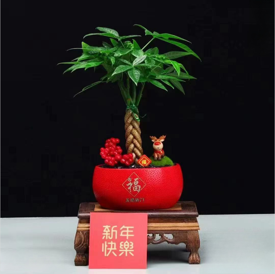微信图片_20250102161354